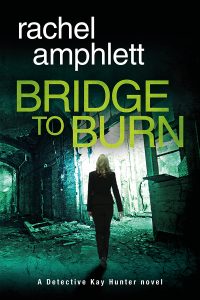 Bridge to Burn Cover MEDIUM WEB